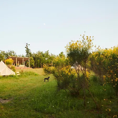 Agricola Ombra Agricamping - Tents In Nature Lajatico